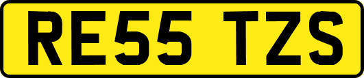 RE55TZS