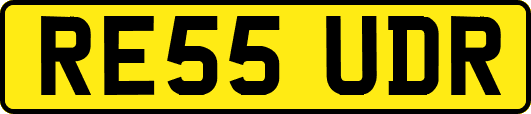 RE55UDR