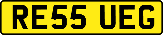 RE55UEG