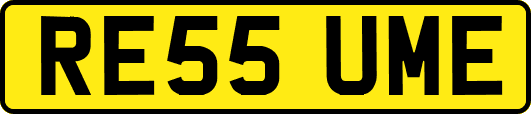 RE55UME