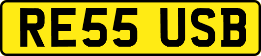 RE55USB