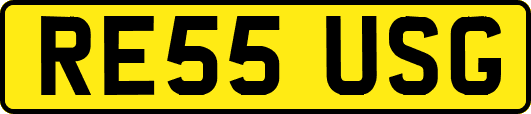RE55USG