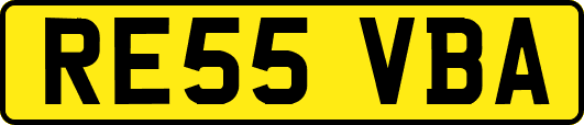 RE55VBA