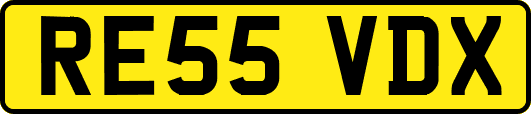RE55VDX