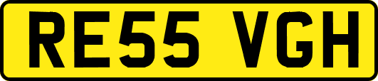 RE55VGH