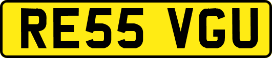 RE55VGU