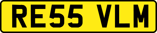 RE55VLM