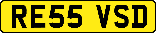 RE55VSD