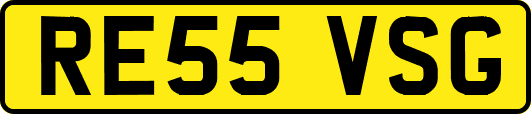 RE55VSG