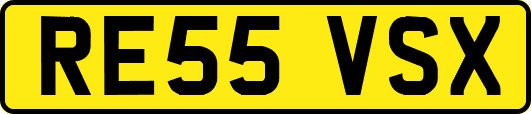 RE55VSX