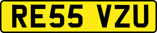 RE55VZU