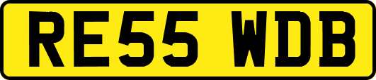 RE55WDB