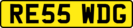 RE55WDG