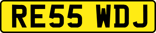 RE55WDJ