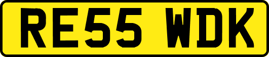 RE55WDK