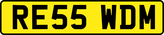 RE55WDM