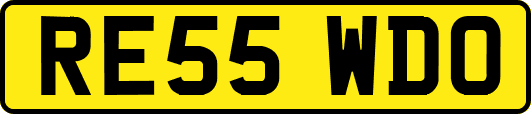 RE55WDO