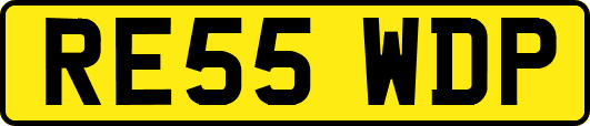 RE55WDP