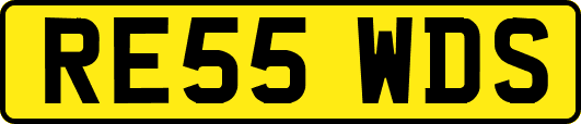 RE55WDS
