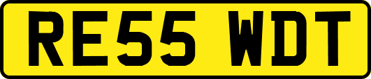 RE55WDT