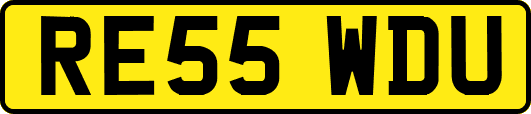 RE55WDU