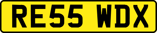 RE55WDX