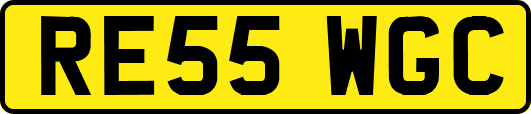 RE55WGC