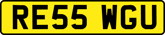 RE55WGU