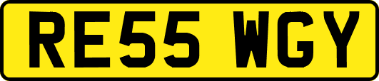 RE55WGY