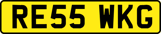 RE55WKG