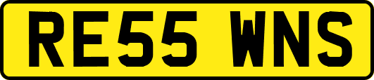 RE55WNS