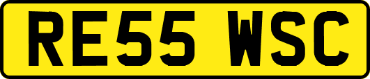 RE55WSC