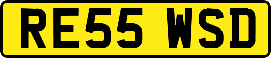 RE55WSD