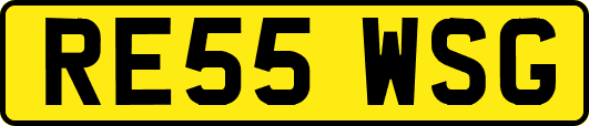 RE55WSG