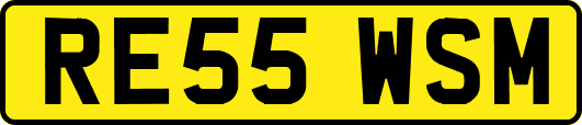 RE55WSM