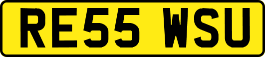 RE55WSU