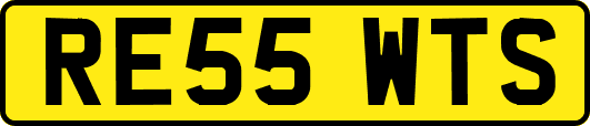 RE55WTS