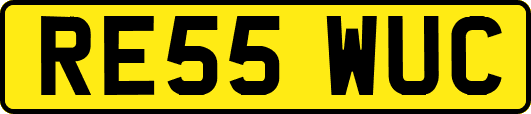 RE55WUC