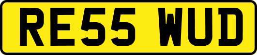 RE55WUD
