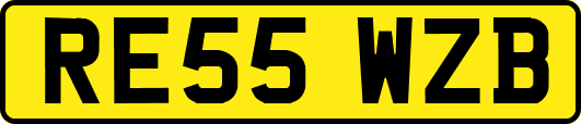 RE55WZB