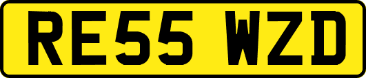 RE55WZD
