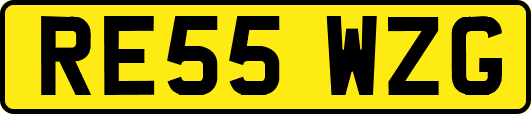 RE55WZG