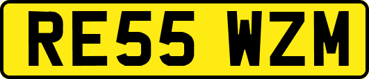 RE55WZM