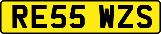 RE55WZS
