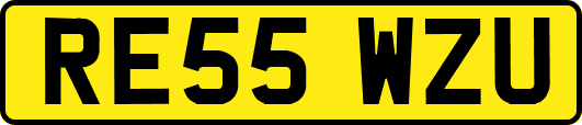 RE55WZU
