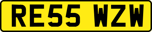 RE55WZW