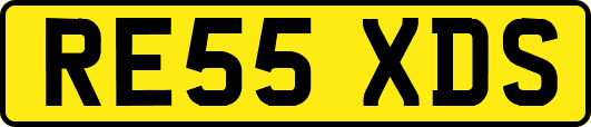 RE55XDS