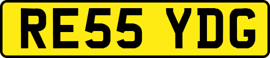 RE55YDG