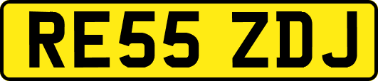 RE55ZDJ