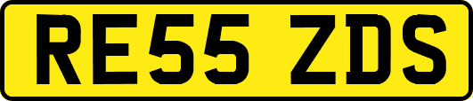 RE55ZDS